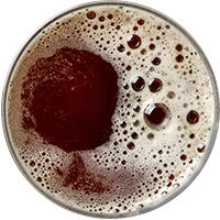 https://www.brewbury.com/wp-content/uploads/2017/05/beer_transparent_02.png